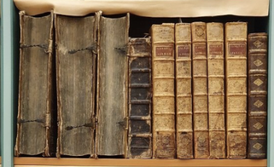 Unik visning av Hagströmerbiblioteket